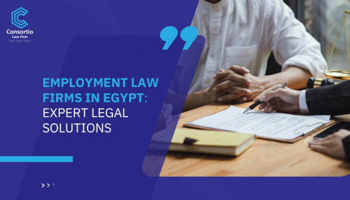 Employment Law Firms in Egypt: Expert Legal Solutions