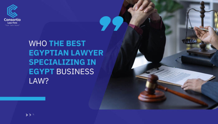 Who the best Egyptian lawyer specializing in Egypt business law?