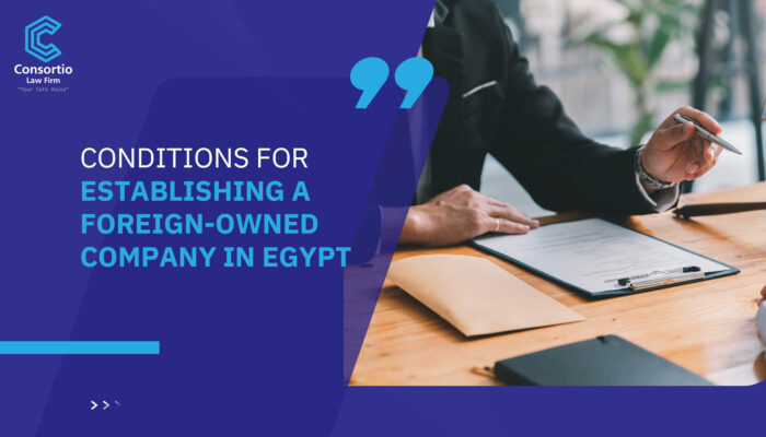 conditions for establishing a foreign-owned company in Egypt