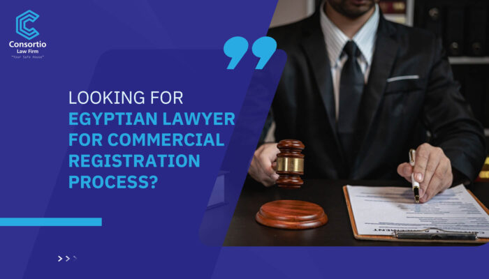 Looking for Egyptian lawyer for commercial registration process?