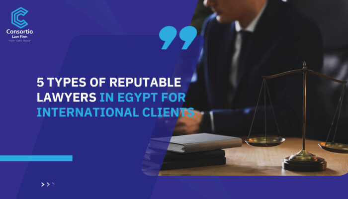 5 types of reputable lawyers in Egypt for international clients