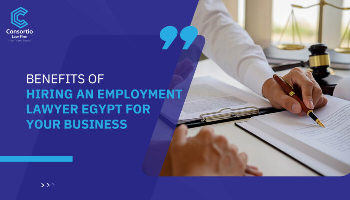 Benefits of hiring an employment lawyer Egypt for your business