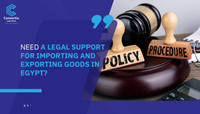 Need a Legal support for importing and exporting goods in Egypt?