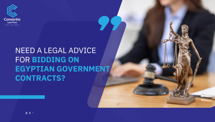 Need a legal advice for bidding on Egyptian government contracts?