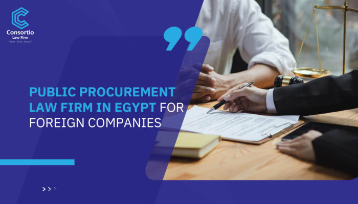 Public procurement law firm in Egypt for foreign companies