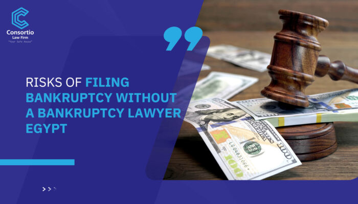 Risks of Filing Bankruptcy Without a Bankruptcy Lawyer Egypt