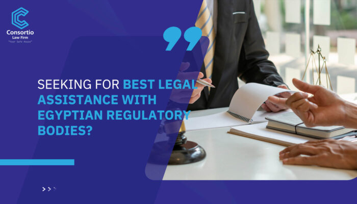 Seeking for best Legal assistance with Egyptian regulatory bodies?