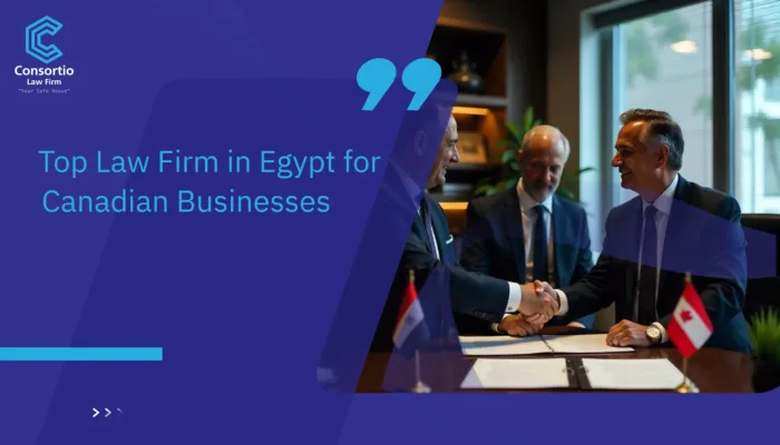 Law Firm in Egypt for Canadian Businesses