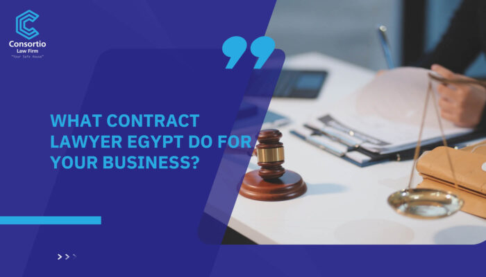 What Contract Lawyer Egypt do for your business?