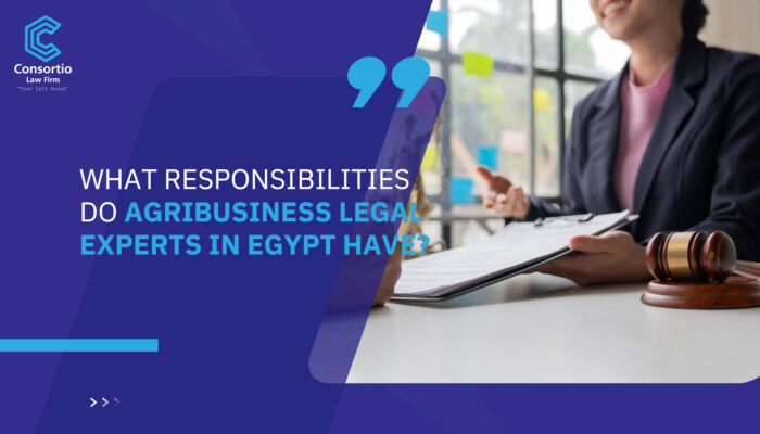 What responsibilities do Agribusiness legal experts in Egypt have?