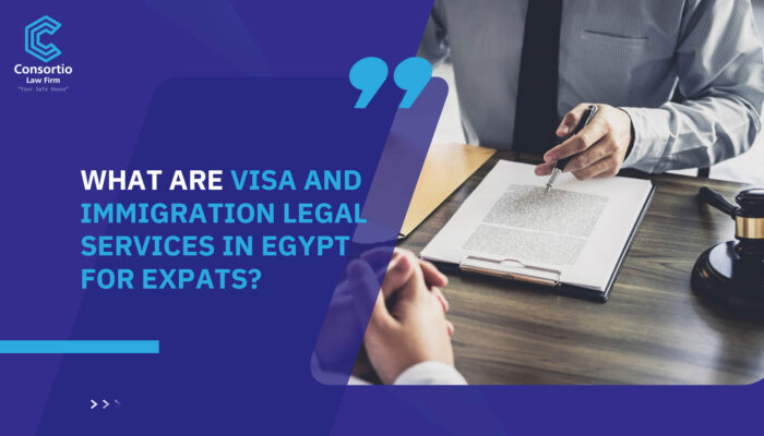 What are visa and immigration legal services in Egypt for expats?