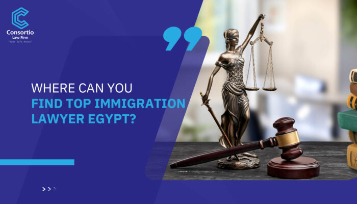 Where can you find top Immigration Lawyer Egypt?