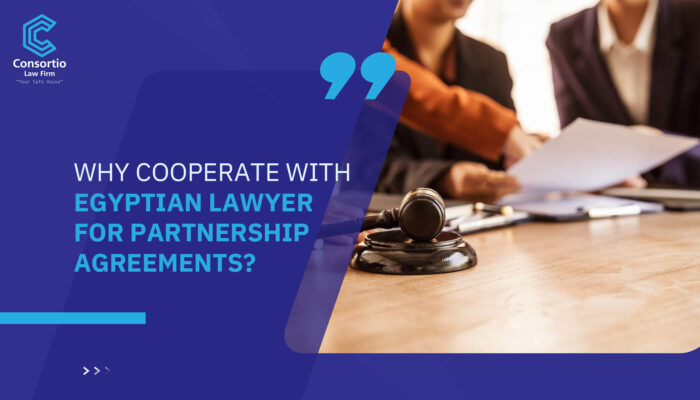 Why cooperate with Egyptian lawyer for partnership agreements?