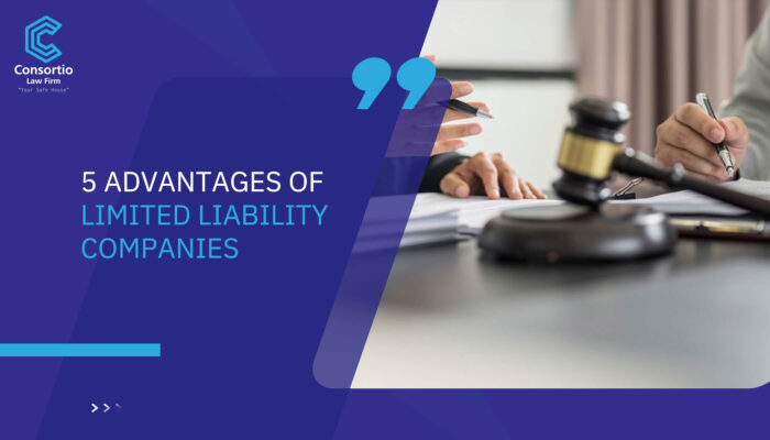 5 Advantages of Limited Liability Companies