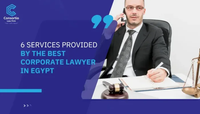 6 Services Provided by The Best Corporate Lawyer in Egypt