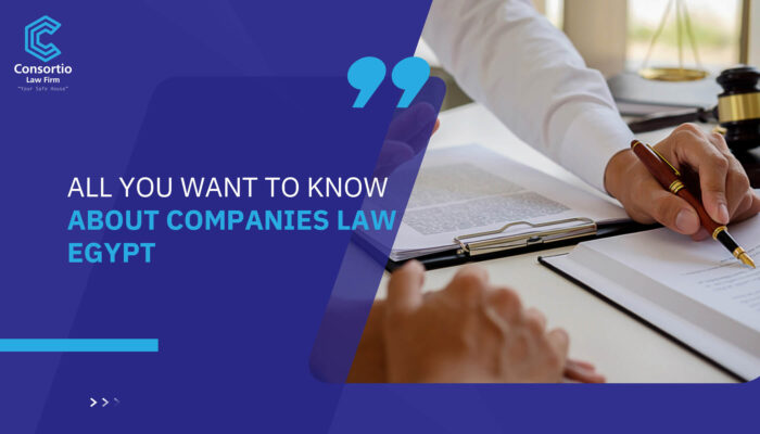 All You want to know about Companies Law Egypt