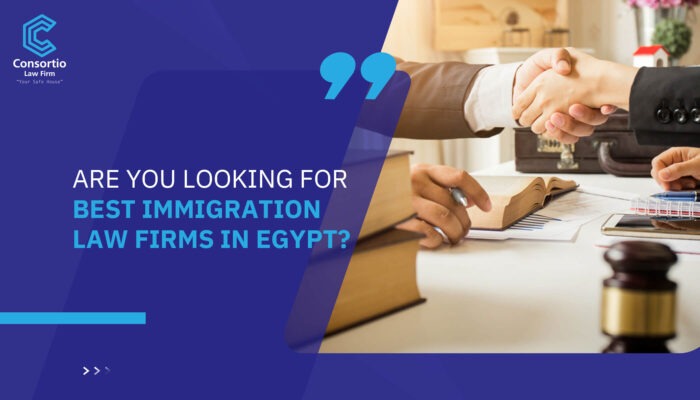 Are you Looking for Best Immigration Law Firms in Egypt?