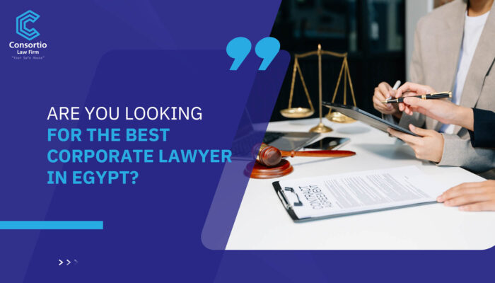 Are you looking for The best corporate lawyer in Egypt?