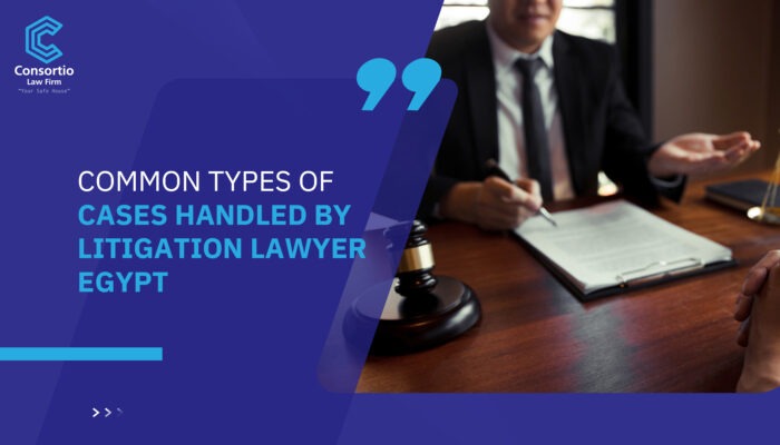 Common Types of Cases Handled by Litigation Lawyer Egypt