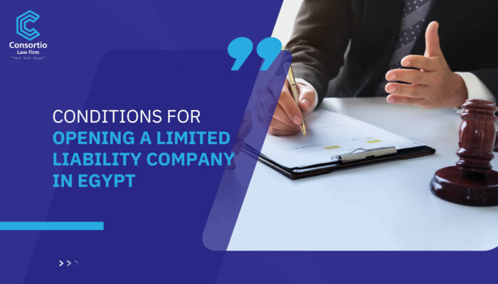 Conditions for opening a Limited Liability Company in Egypt