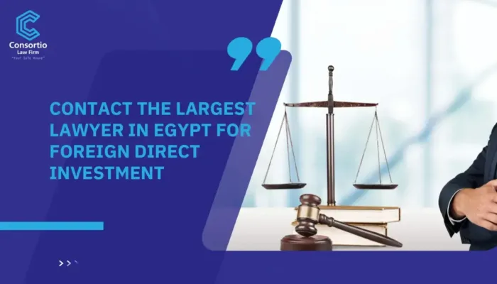 Contact The largest Lawyer in Egypt for Foreign Direct Investment