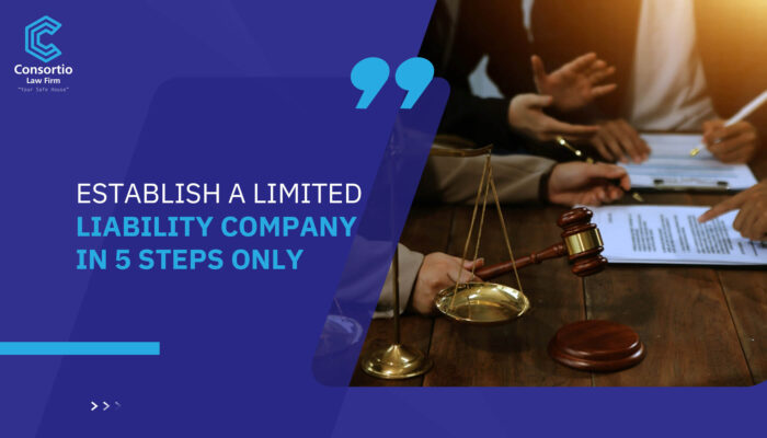 Establish a Limited Liability Company in 5 steps only