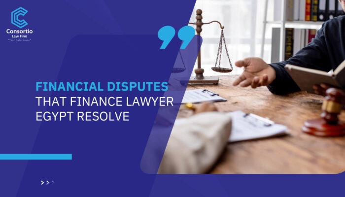 Financial Disputes that Finance Lawyer Egypt Resolve