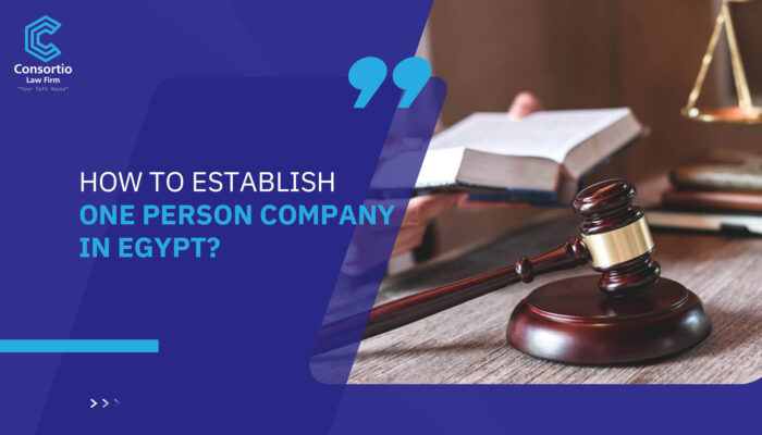 How to establish One Person Company in Egypt?