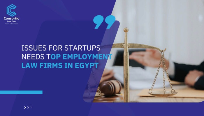 Issues for Startups needs Top Employment Law Firms in Egypt
