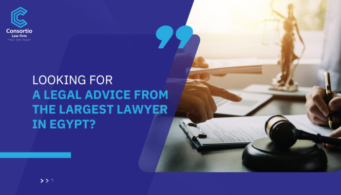 Looking for a legal advice from the largest lawyer in Egypt?