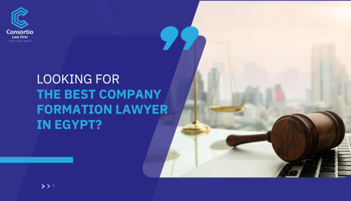 Looking for the best company formation lawyer in Egypt?