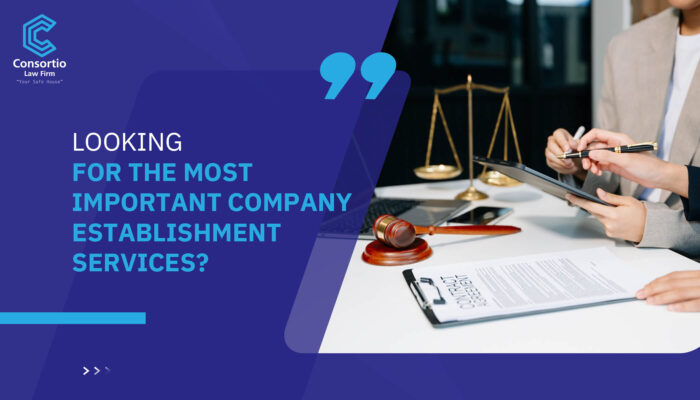 Looking for the most important company establishment services?