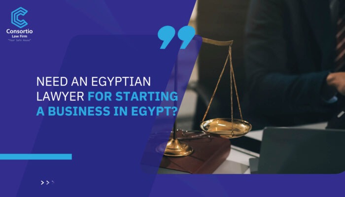 Need an Egyptian lawyer for Starting a Business in Egypt?