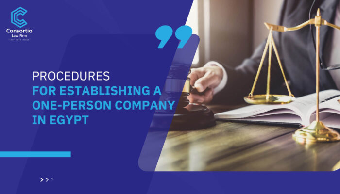 Procedures for establishing a one-person company in Egypt
