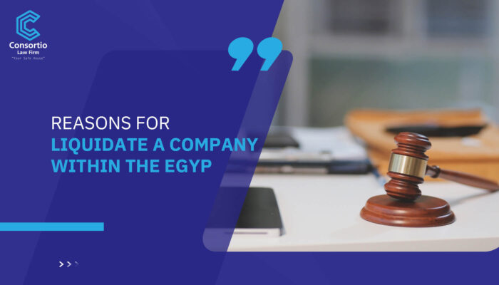 Reasons for Liquidate a Company within the Egypt