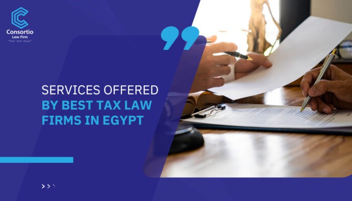 Services Offered by Best Tax Law Firms in Egypt