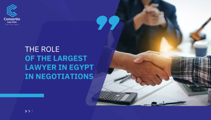 The Role of The Largest Lawyer in Egypt in Negotiations