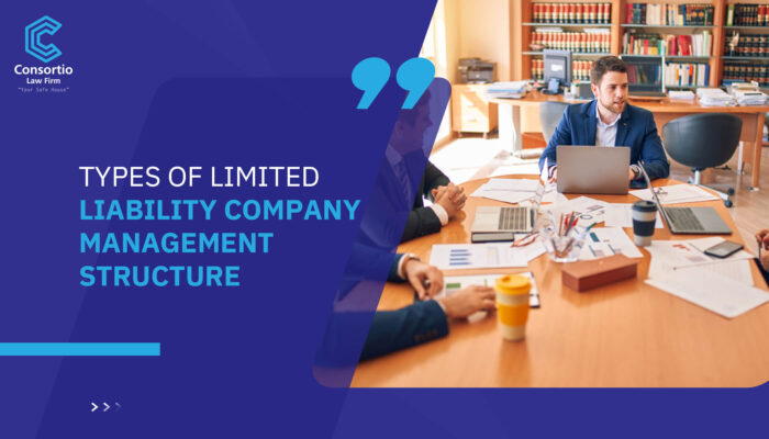 Types of limited liability company management structure