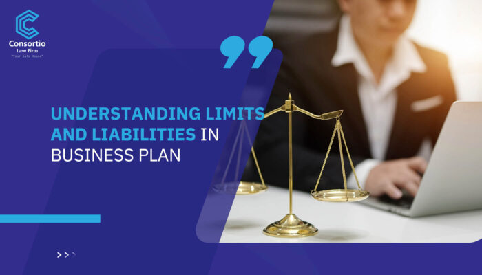 Understanding limits and liabilities in business plan