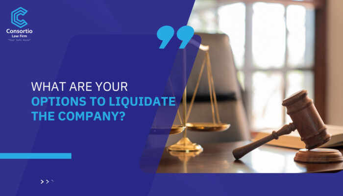 What are your options to liquidate the company?