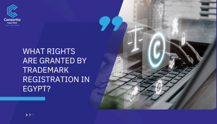 What rights are granted by Trademark Registration in Egypt?