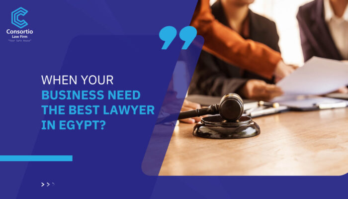 When Your Business Need The Best Lawyer in Egypt?