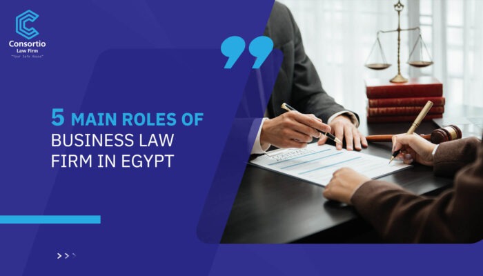 5 Main Roles of Business Law Firm in Egypt