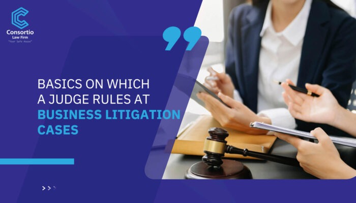 Basics On Which a Judge Rules at Business Litigation Cases