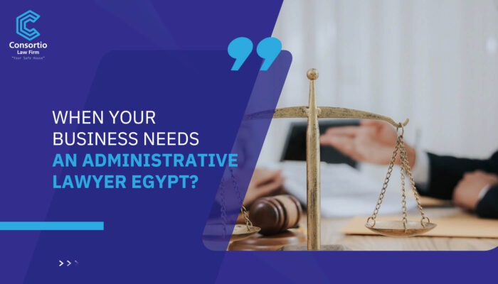 When Your Business Needs an Administrative Lawyer Egypt?