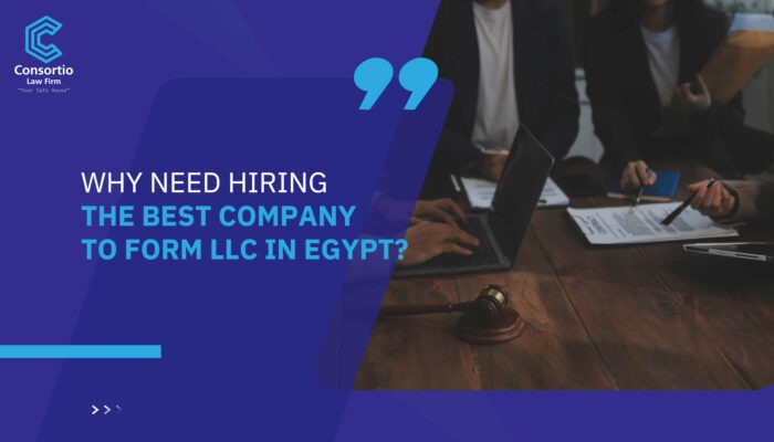 Why Need Hiring the Best Company to Form LLC in Egypt?