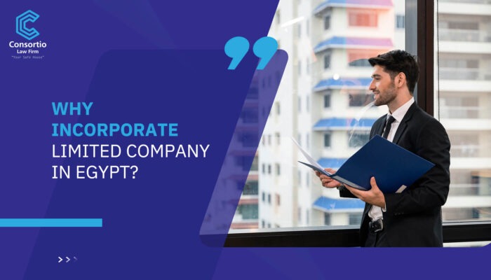 Why Incorporate Limited Company in Egypt?