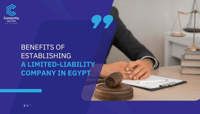 Benefits of Establishing a Limited-Liability Company in Egypt