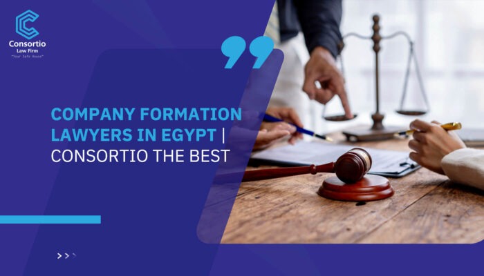 Company Formation Lawyers in Egypt| Consortio the best