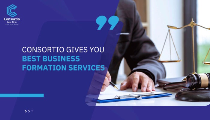 Consortio gives you Best Business Formation Services